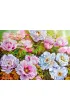 Puzzle 1000 el. Poenyssimo Opus 5. 30608 CherryPazzi