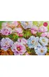 Puzzle 1000 el. Poenyssimo Opus 5. 30608 CherryPazzi