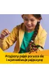 LEGO Creator 3 w 1 Dzikie zwierzta: niezwyky pajk 31159