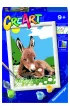 Malowanie po numerach CreArt - Ma�y osio�ek Ravensburger