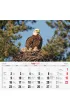Kalendarze �cienne Kalendarz �cienny du�y 2026 Przyjaciele KD-19