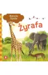 �yrafa