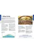 Pocket Munich. Lonely Planet