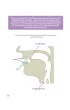 Owocna edukacja. Logopedia. B�d� m�wi� poprawnie. Zeszyt 1