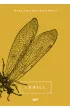 Chwila