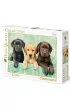 Puzzle 1000 el. Labradory Clementoni