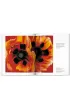 O'Keeffe