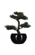 Atmosphera Drzewko bonsai wj doniczce 36 cm czarny