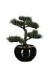 Atmosphera Drzewko bonsai wj doniczce 36 cm czarny