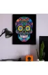 Diamond Dotz Haft diamentowy - Adults Flocked Neon Sugar Skull 35.5x45.7cm
