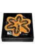 Star Path. amigwka. Poziom 4/5 Recent Toys