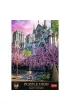 Puzzle 1000 el. Katedra Notre-Dame w Pary�u Trefl