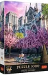 Puzzle 1000 el. Katedra Notre-Dame w Pary�u Trefl