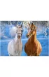 Puzzle 260 el. The Winter Horses Castorland