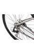 Romet Rower crossowy ORKAN 4 D 2024 szampa�sko-czarno-srebrny 20 L
