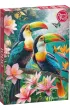 Puzzle 1000 el. Toucans' Paradise CherryPazzi