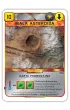Terraformacja Marsa. Zestaw dodatkowy 2 Rebel