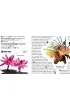 comfort!map&guide XL Tajlandia 2w1 1:1 650 000