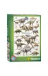 Puzzle 1000 el. Dinosaurs of Cretaceous Period Eurographics