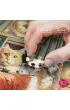 Puzzle 1000 CherryPazzi The Aristocratic Menagerie�31377