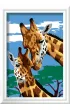 Malowanie po numerach CreArt - Rude koci�ta Ravensburger