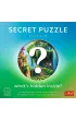 Puzzle Premium 1000 el. Secret Puzzle: Sanctum Trefl
