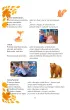 Wierszyki przedszkolaka na ca�y rok szkolny