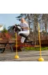 Hobby Horse Skippi. Ko� na kiju gniado-srokaty