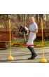 Hobby Horse Skippi. Ko� na kiju gniado-srokaty