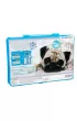 Starpak Zestaw artystyczny Piesek 68 element�w