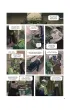 Blacksad Stories. Weekly