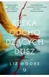 Rzeka odchodz�cych dusz