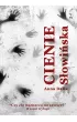 Cienie – Anna Dalia Słowińska – okładka ebook