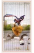 Lenormand de Paris, karty