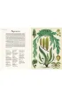 Botanicum. Muzeum Ro�lin