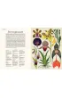 Botanicum. Muzeum Ro�lin