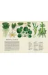 Botanicum. Muzeum Ro�lin
