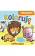 Naklejam koloruj� Zwierz�ta