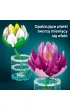 LEGO Botanicals Lilie wodne 11511