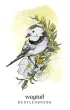 Winterseer Animal Oracle, karty