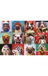 Puzzle 1000 el. Funny Dogs by Lucia Heffernan Eurographics