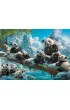 Puzzle 2000 Pandas` Winter Fun Castorland