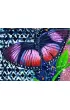 Indygo Sage Affirmation Cards, �ywio� Powietrza
