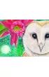 Indygo Sage Affirmation Cards, �ywio� Powietrza