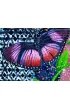 Indygo Sage Affirmation Cards, �ywio� Powietrza