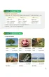 My First Grammar 3. Workbook + online