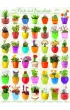 Puzzle 1000 el. Cacti & Succulents Eurographics