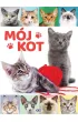 M�j kot