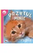 Pupile. Przytul mnie