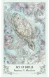 Spiritsong Tarot, karty do wr�enia